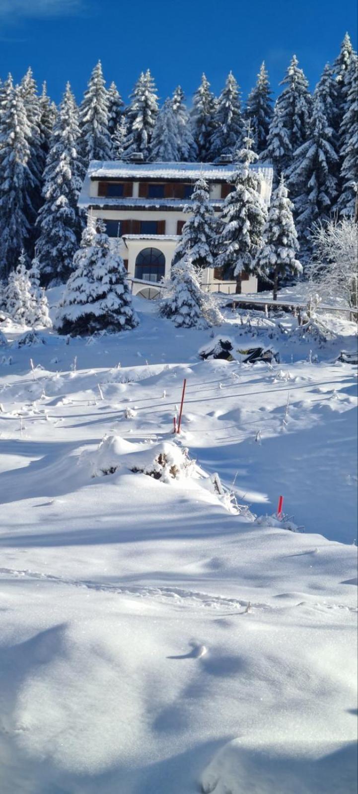 Villa Kostic Kopaonik Exterior foto