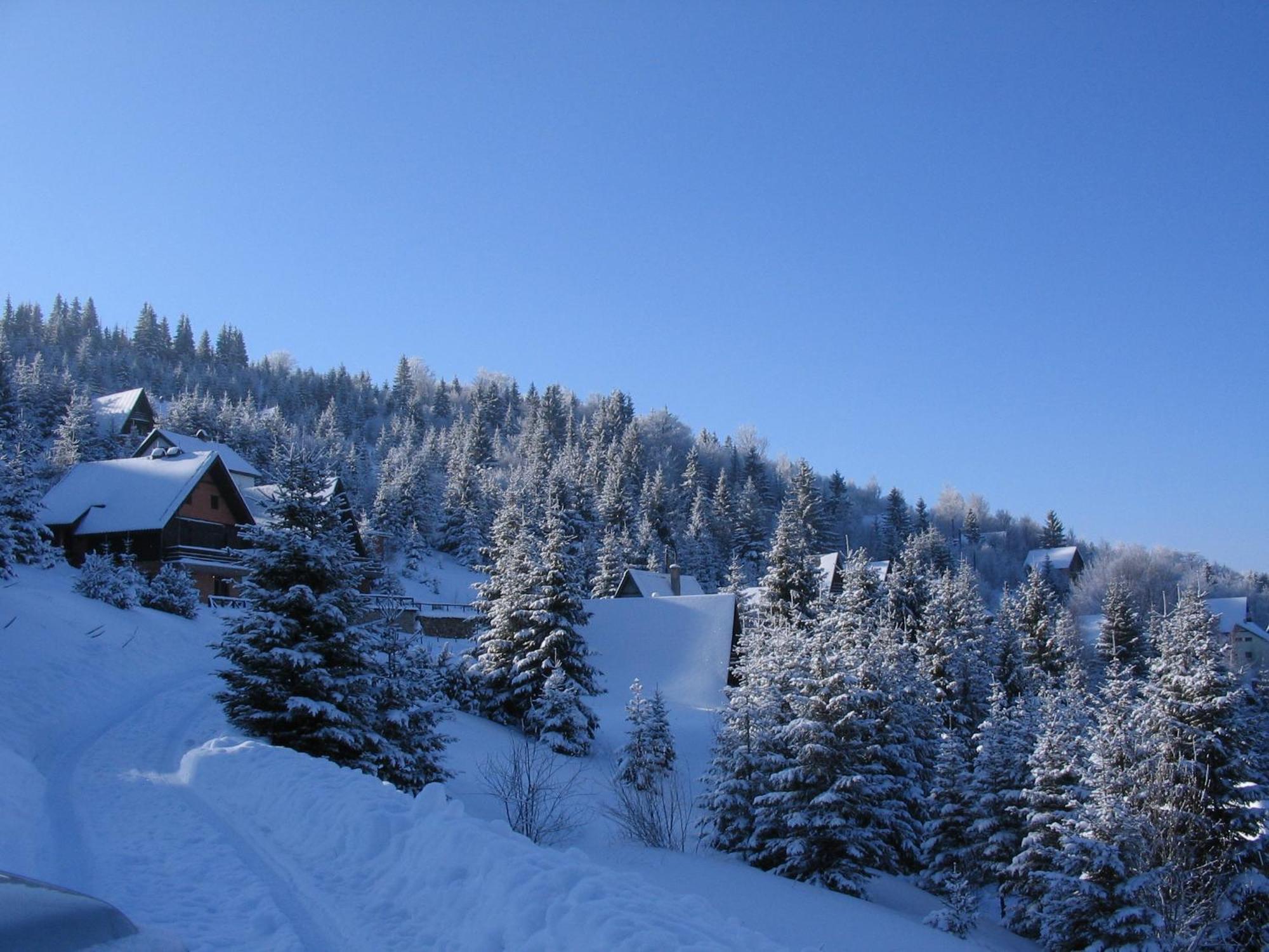 Villa Kostic Kopaonik Exterior foto