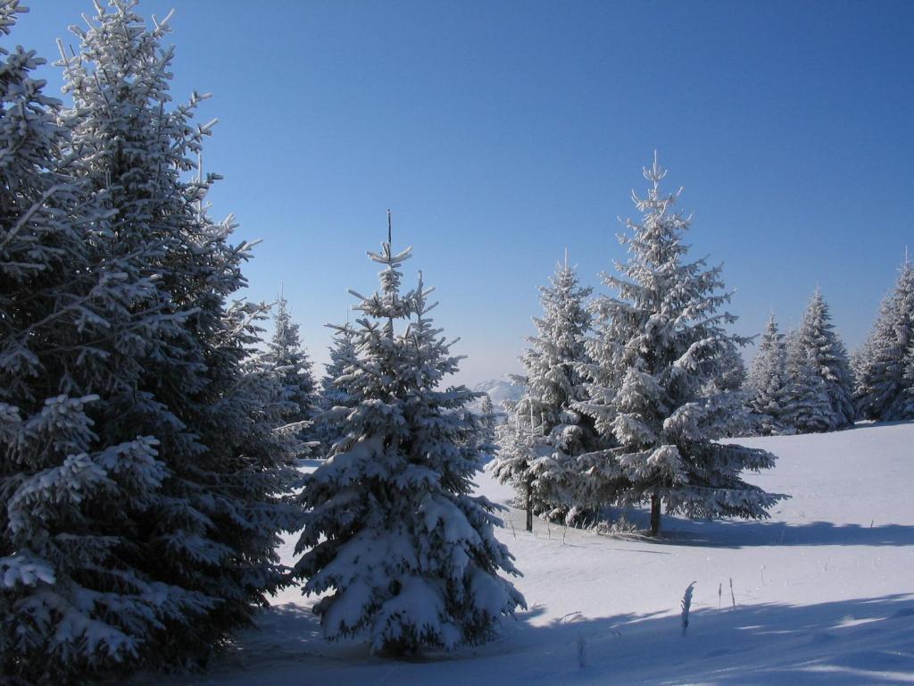 Villa Kostic Kopaonik Exterior foto