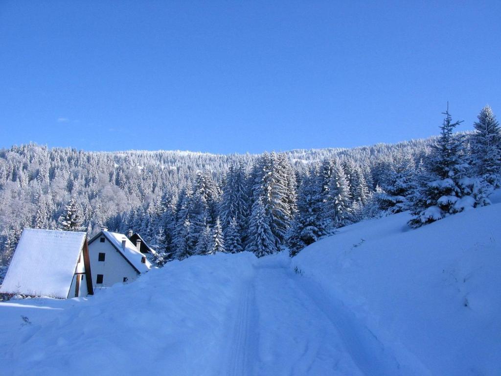 Villa Kostic Kopaonik Exterior foto